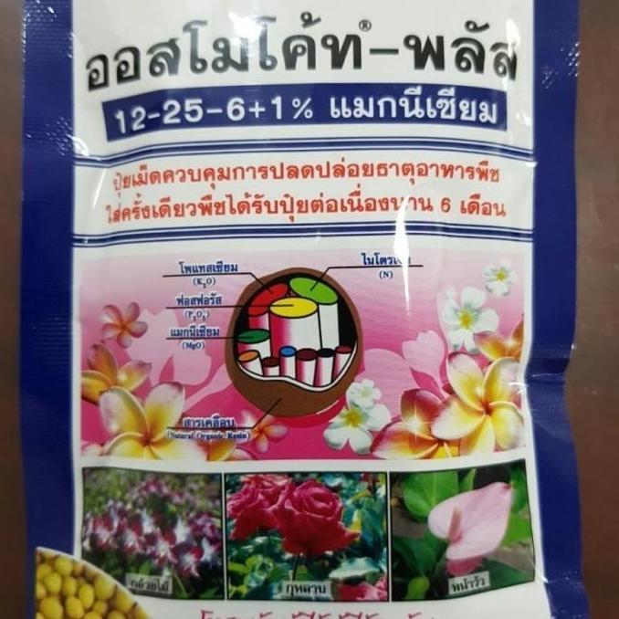 PUPUK TANAMAN DEKASTAR OSMOCOTE 13 13 13 THAILAND KEMASAN ASLI 100 GR