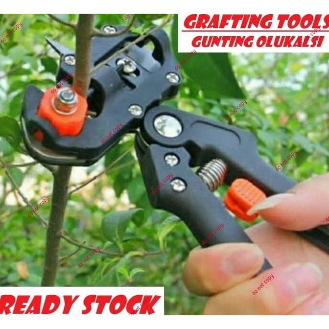 Grafting Tool Gunting Okulasi Cangkok Grafting Stek Sambungan Dahan