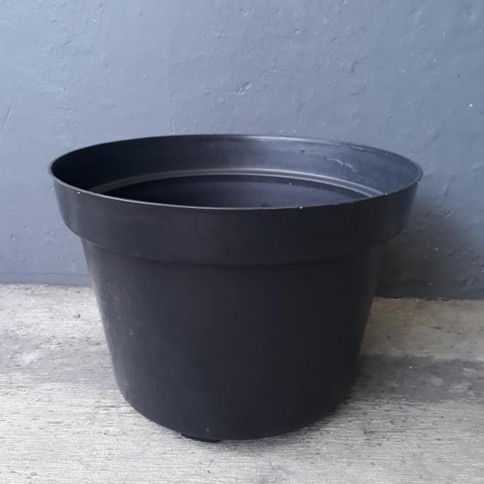 pot hitam 35, pot plastik hitam 35, tabulapot, pot murah meriah
