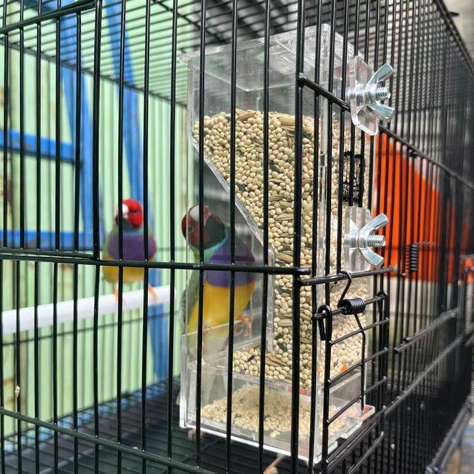 Dispenser Pakan Burung Finch Gould Amadine Kenari Emprit Jepang Gelatik Perkutut dll