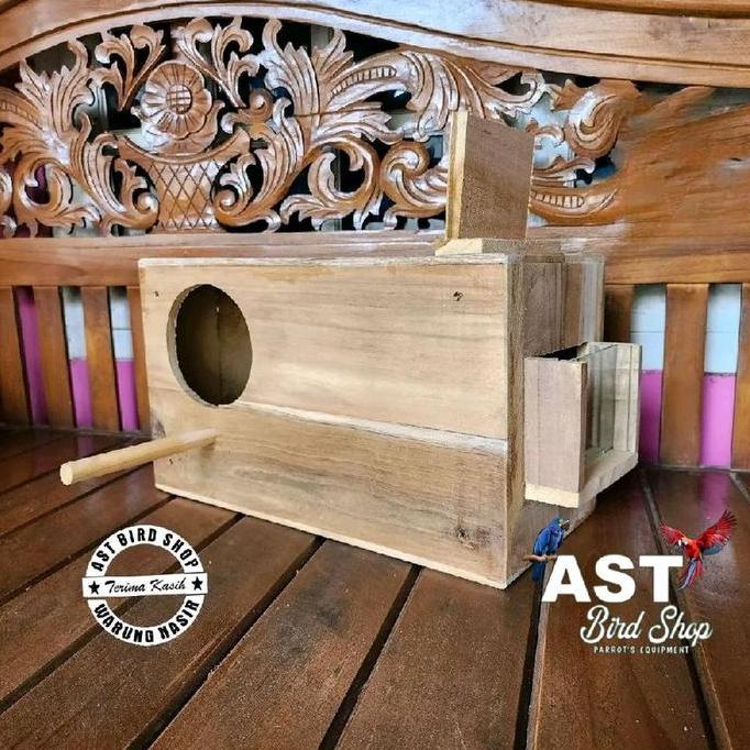 Glodok jalak bali jalak hongkong penempatan kanan