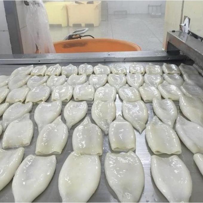 PARDIONSSTORE - CUMI KUPAS TUBE / CUMI TUBE KUPAS /TUBE SQUID / 1KG / CUMI TUBE FROZEN