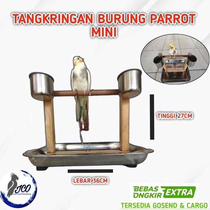 PARDIONSSTORE - TANGKRINGAN BURUNG PARROT TANGKRINGAN TRAINING BURUNG FALK NURI HANTU