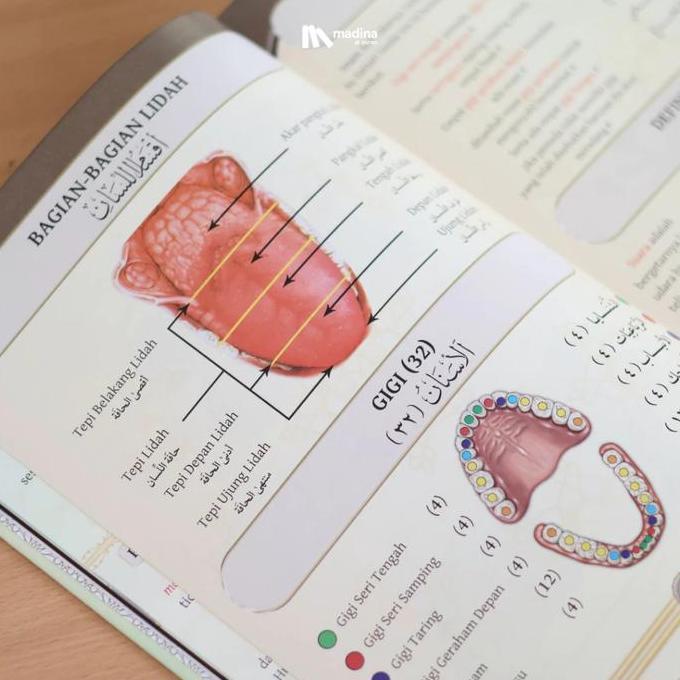 Promo Tajwid Bergambar Original Resmi Dari Penulisnya Terjemah Kitab Tajwidul Mushawwar Karya Syaikh