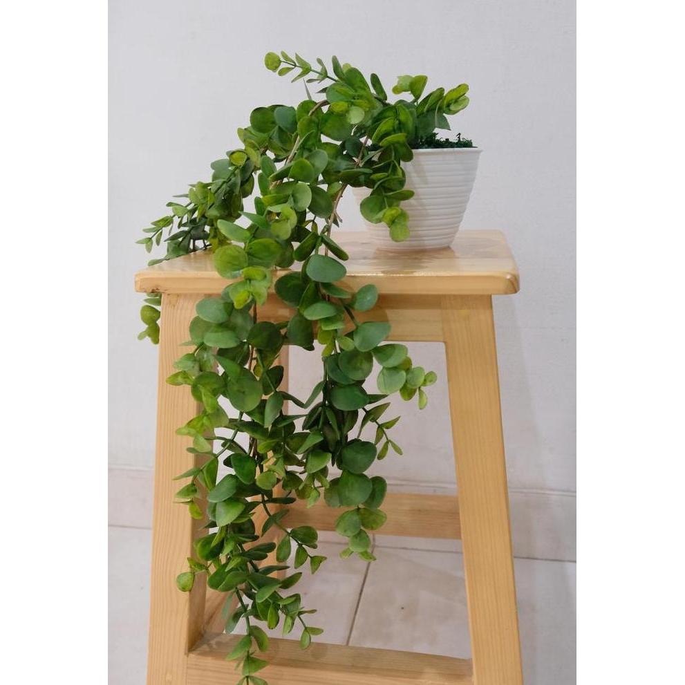 Tanaman Gantung Plastik Eucalyptus