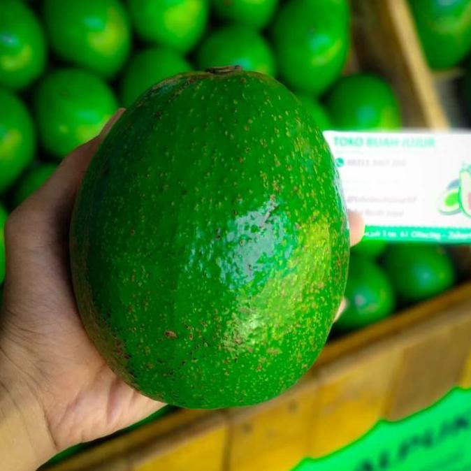 Alpukat Mentega Super Jumbo