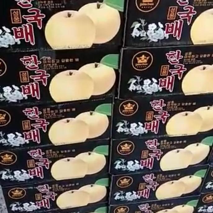 Pear singo korea premium / ons asli pir coklat ys sk organic seokwang