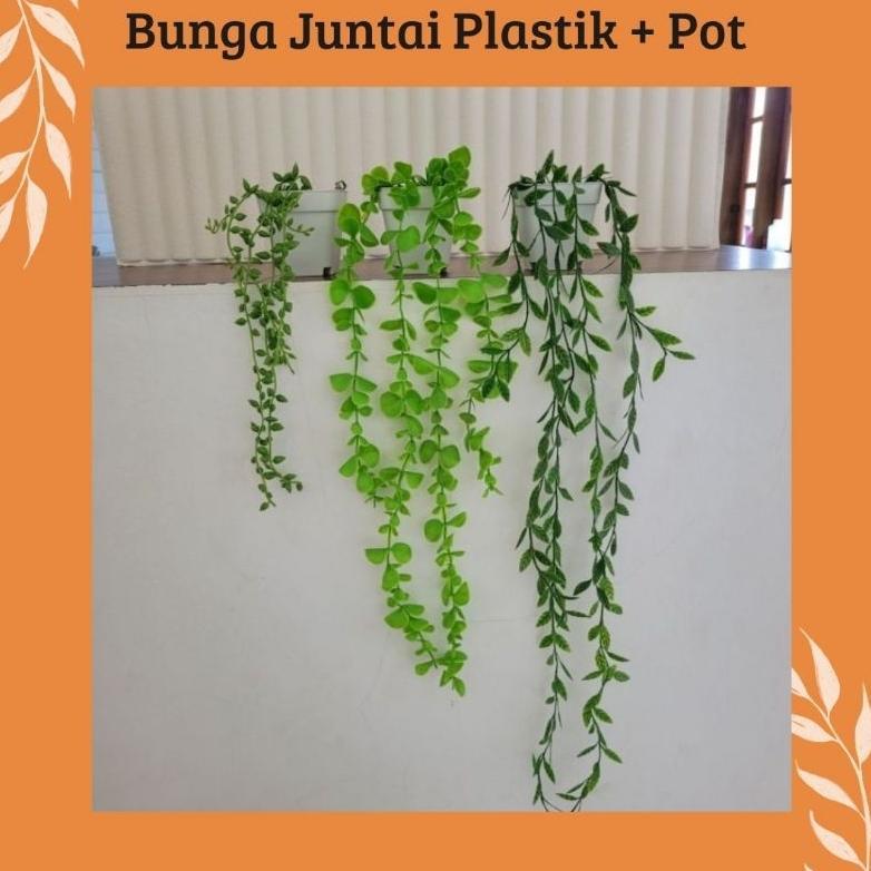 PREMIUM DAUN JUNTAI PLASTIK + POT || DAUN JUNTAI ARTIFICIAL