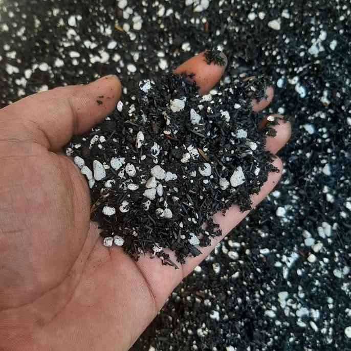 Park- Media Tanam Kaktus Dan Sukulen (Geek Farmer)