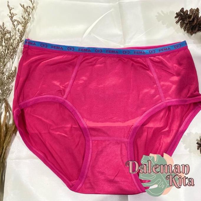Wkwkwk- 12 Pcs - Cd Fema Super Soft | Celana Dalam Fema | Cd Fema Wanita Super Soft