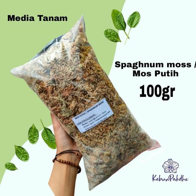 Spaghnum Moss / mos putih / media tanam anggrek 100gr