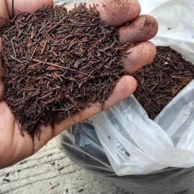 1kg media tanam akar pakis cacah