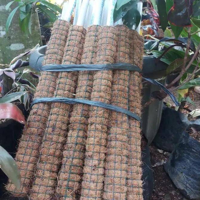 turus sabut kelapa penyangga tanaman 1 meter