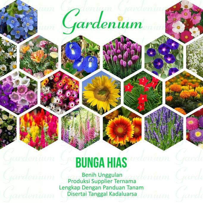Macam Macam Benih Bunga Hias Unggul Paktani