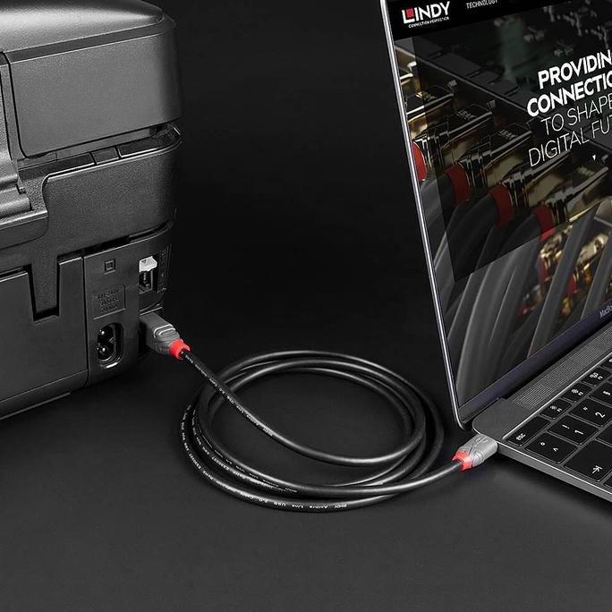 Terusaja- Kabel Printer & Audio Interface Lindy Usb 2.0 Type C To Type B Male To Male