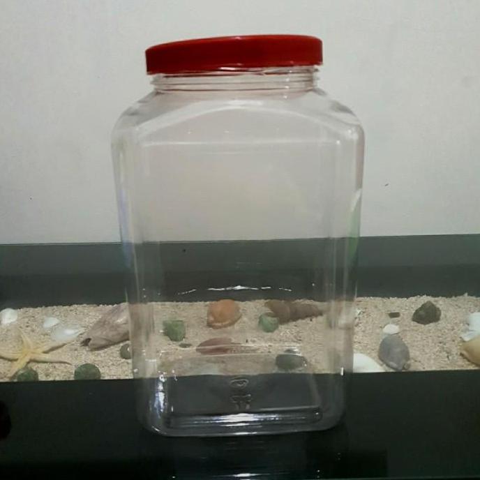 Toples Plastik Ikan Cupang 4 Liter Pakai Tutup