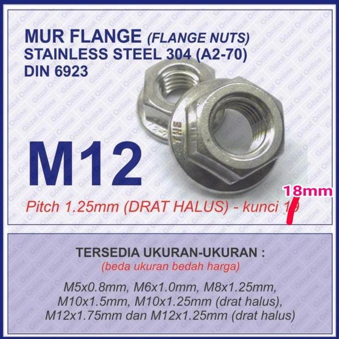 Mur Flange Ss304 - M12 X1.25Mm Drat Halus Kunci 19 - Stainless 304 Hemat