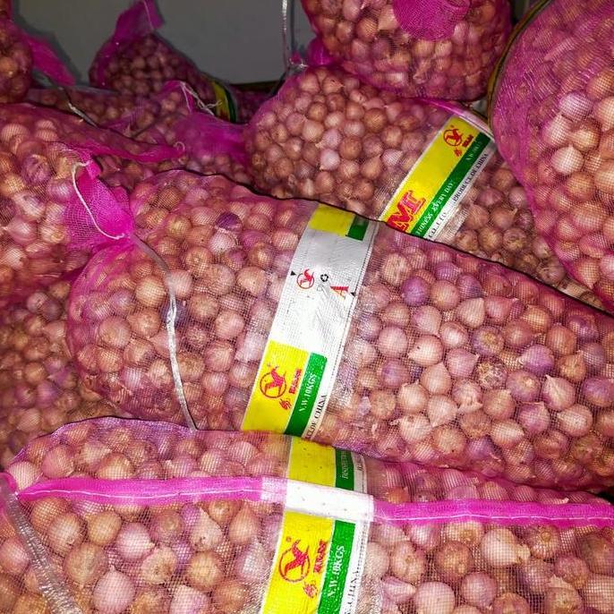 SUPER ENAK BAWANG PUTIH TUNGGAL/BAWANG LANANG TUNGGAL IMPORT JUMBO 1KG