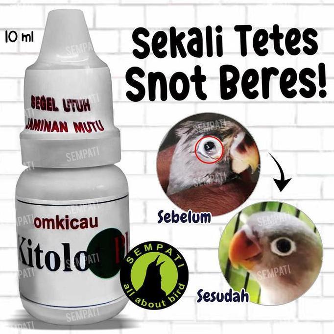 MURAH BERKUALITAS - BIRD KITOLOT TETES OM KICAU OBAT BURUNG SAKIT MATA KATARAK BERLENDIR