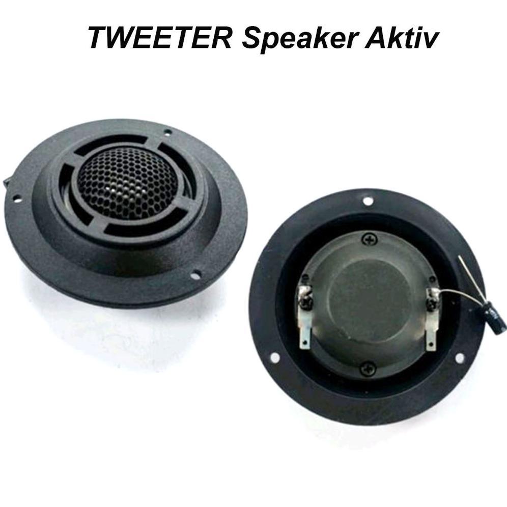 Satu Pasang Tweeter Speaker Aktif Murah