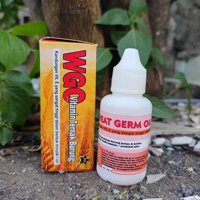 BEST PRICE - WGO WHEAT GERM OIL VITAMIN TERNAK BURUNG LOVE BIRD FALK MACAU BLACKTHROAT KENARI