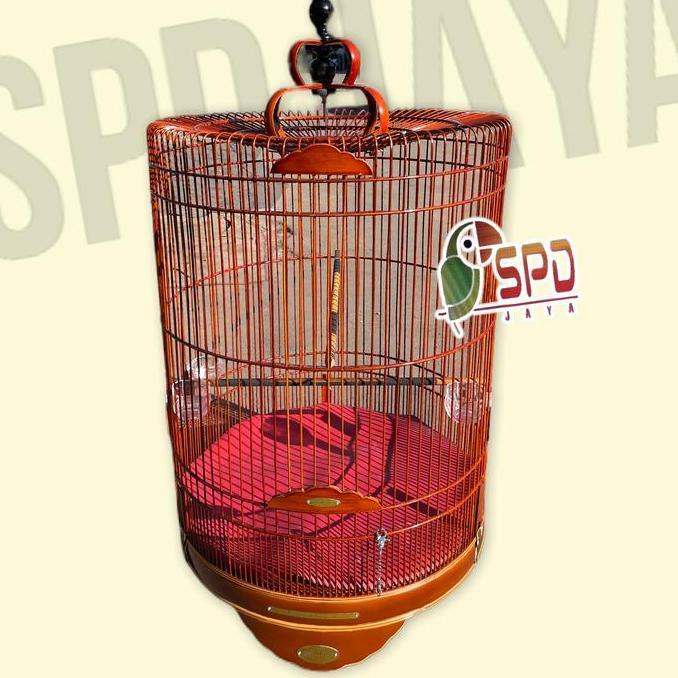 SANGKAR MURAI RAFI JAYA REBORN