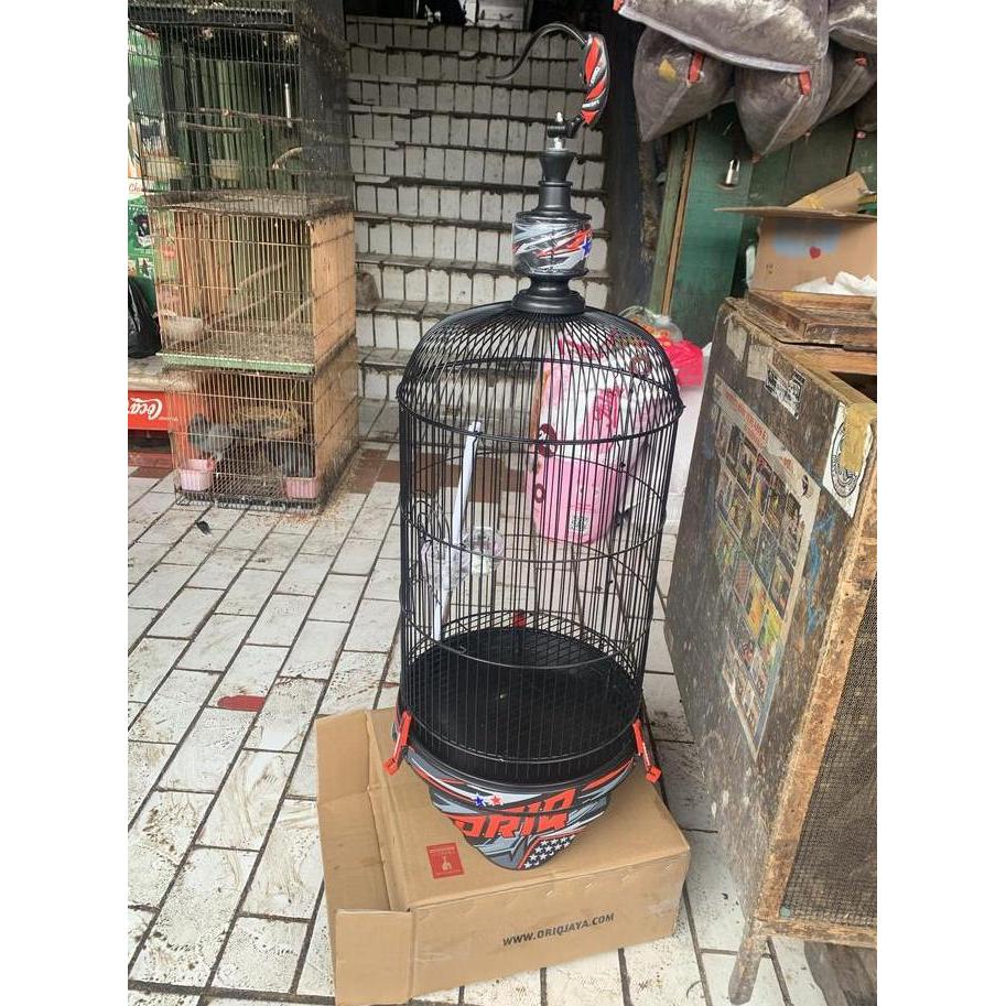 HARGA TERBAIK - sangkar lovebird oriq jaya 3D