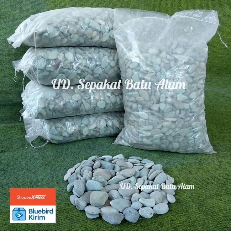 Batu Taman Coral Sikat Hijau 10 Kg