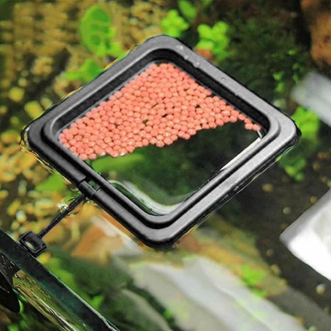 MURVAL Tempat Makan Pelet Ikan Aquarium Fish Feeding Ring Floating Feeder