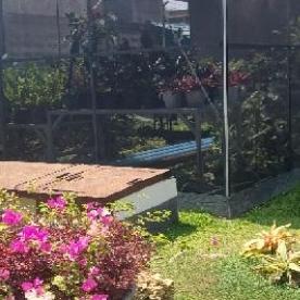 Shandingnet/Paranet Nylon 90% Casta Tertinggi