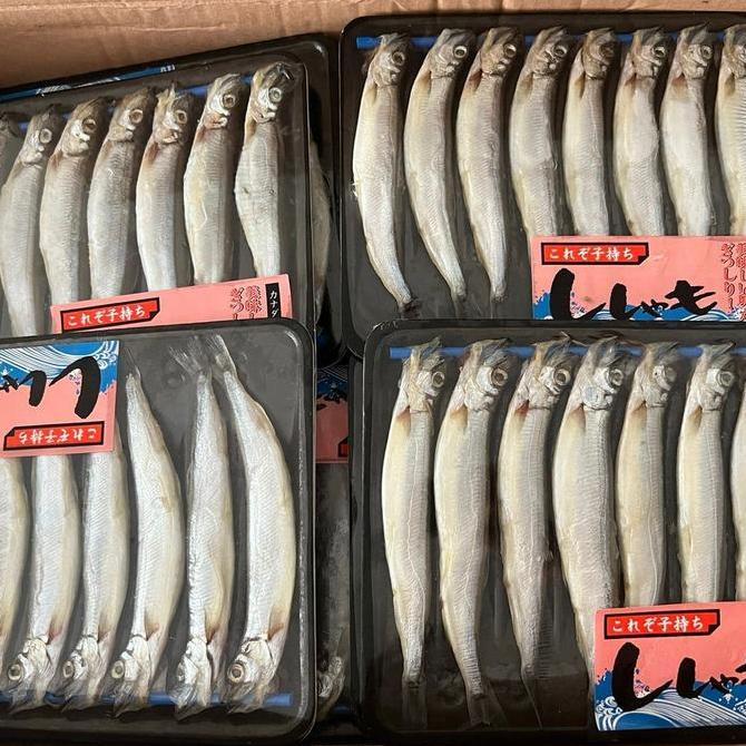 IKAN SHISAMO/ IKAN CAPELIN / IKAN CIPUNG | HALAL FRESH FROZEN