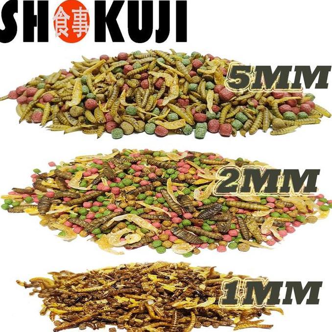 3KG SHOKUJI PELET BRAZIL RES RAZORBACK MAKANAN KURAKURA AIR BRASIL DAMER CST PIPUT AMBON PAKAN PREMI