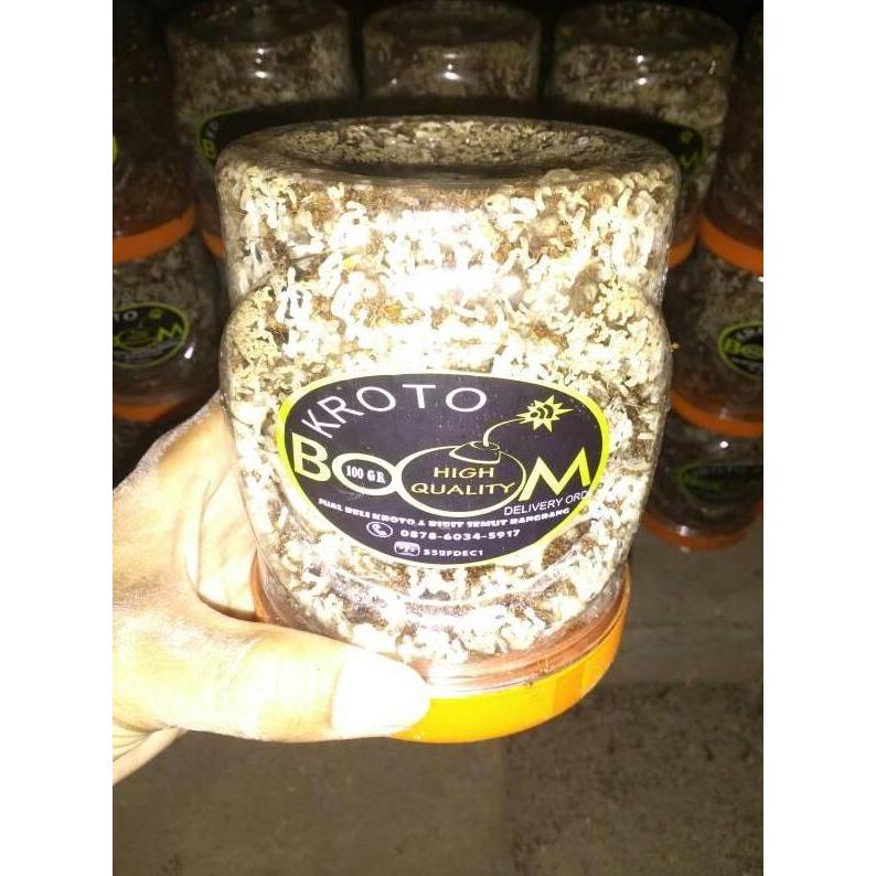 Ratu Semut Kroto (5 gratis 1)