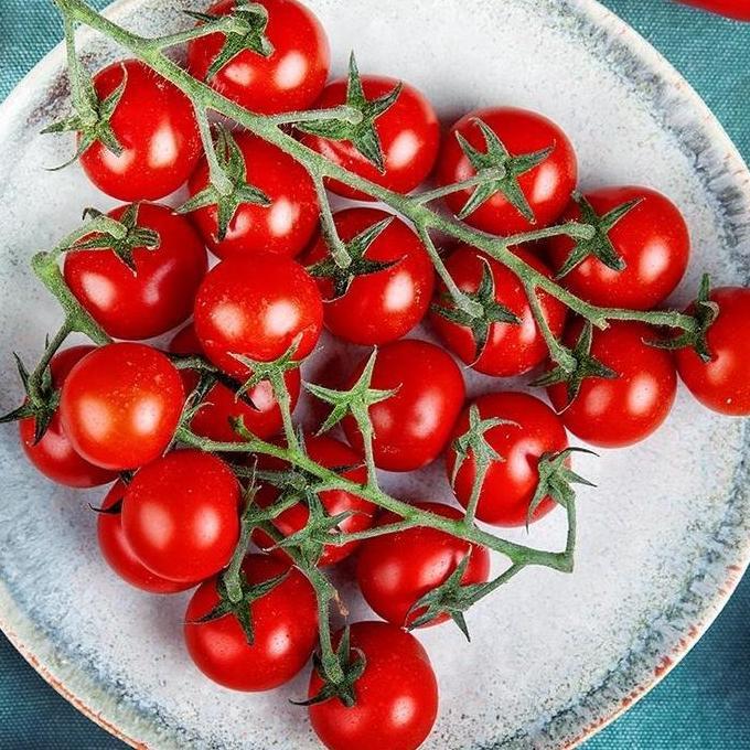 Benih Bibit Biji - Large Red Cherry Tomato / Tomat Ceri Merah Besar Seeds - IMPORT