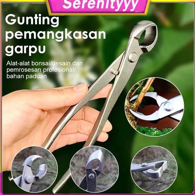 ting Dahan Pemotong Catok Bonsai Cembung 21cm Cabang Pohon Berkebun Tanaman Hias