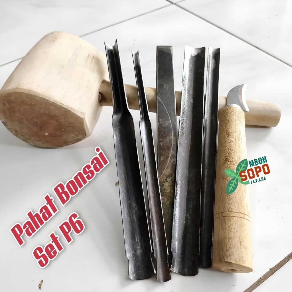 Alat Ukir Kayu Jepara, Pahat Bonsai Set P6