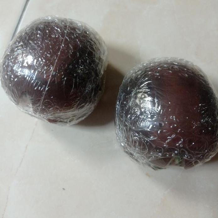 Kame Alligator Turtle Tortoise Dangomushi Gashapon Bandai Dango Mushi