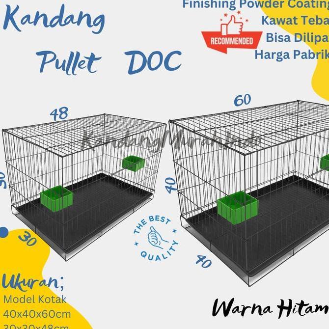 KANDANG UMBARAN PEMBESARAN, DOC, PULLET, MURAH SERBAGUNA l KANDANG DOC HEWAN KUCING ANJING KELINCI S