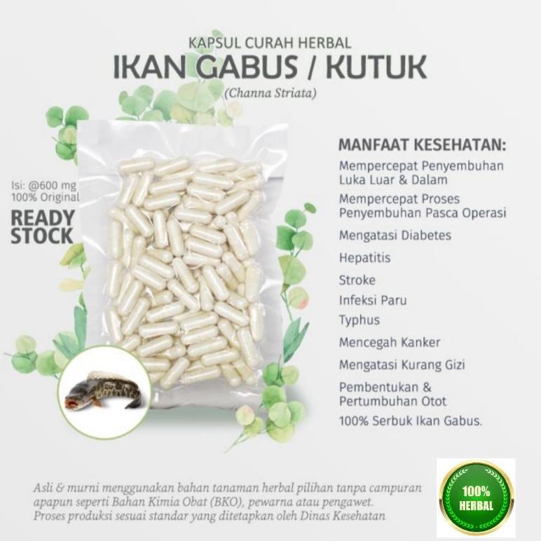 Sari Kutuk Kapsul Ikan Gabus Asli Curah 100 Kapsul Original terlaris