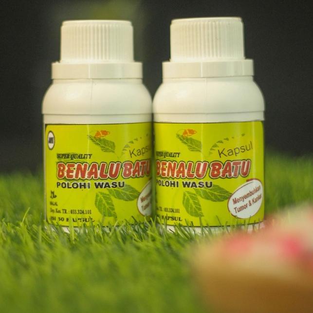 BENALU BATU KAPSUL ASLI SULAWESI TENGAH|TANAMAN HERBAL| isi 30 Kapsul| BPOM|| BERGARANSI UANG KEMBAL