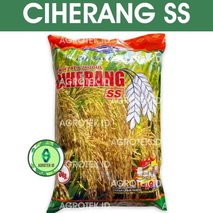 Benih Padi CIHERANG SS 5 Kg Cap Kapal Terbang PAN