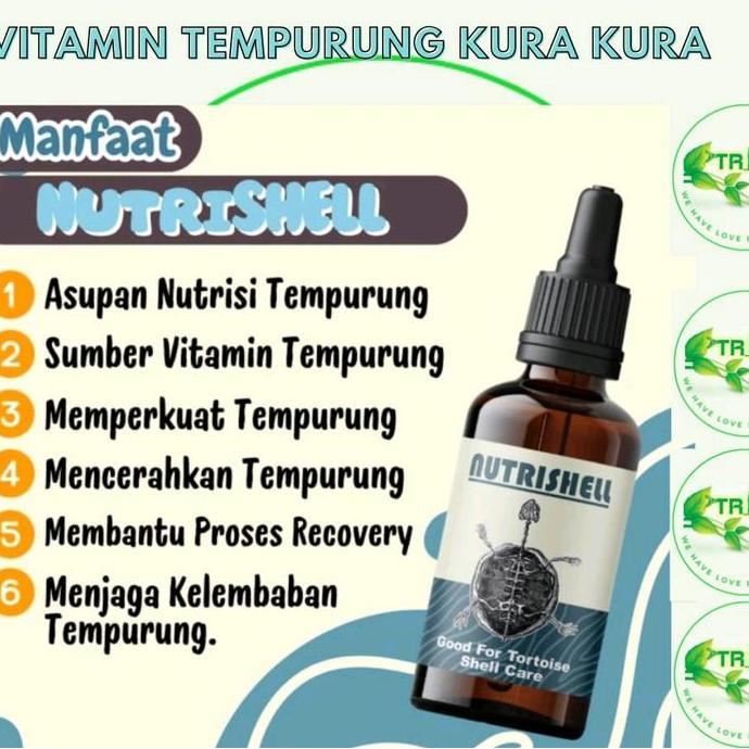 nutrishell vitamin tempurung kura-kura kura/pelembab tempurung kura kura/vitamin tempurung torto/oba