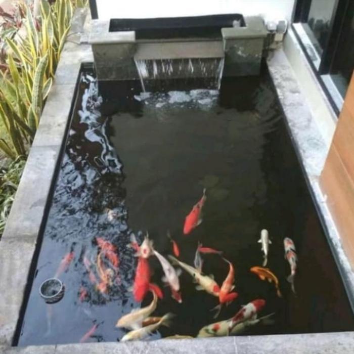 taman kolam koi/taman Eropa/Taman kolam minimalis