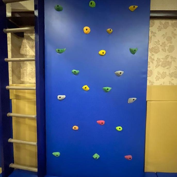 Wall Climbing / Panjat Dinding Media Okupasi Terapi & Edukasi