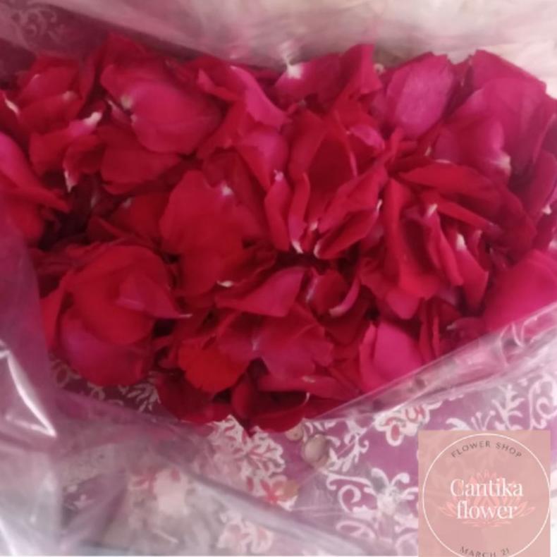 Kelopak Bunga Mawar Merah Asli Fresh Tabur