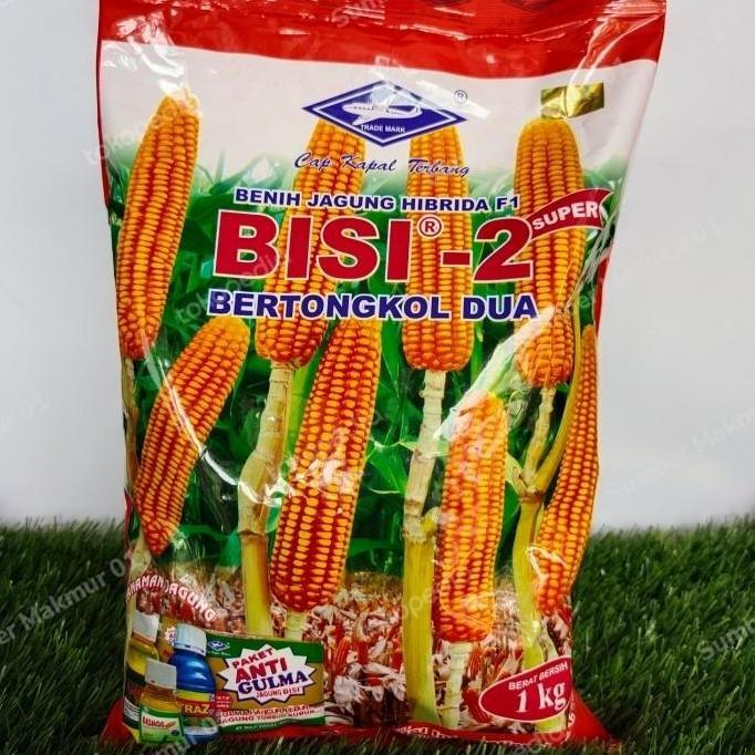 BENIH JAGUNG SUPER HIBRIDA BISI 2 BERTONGKOL 2