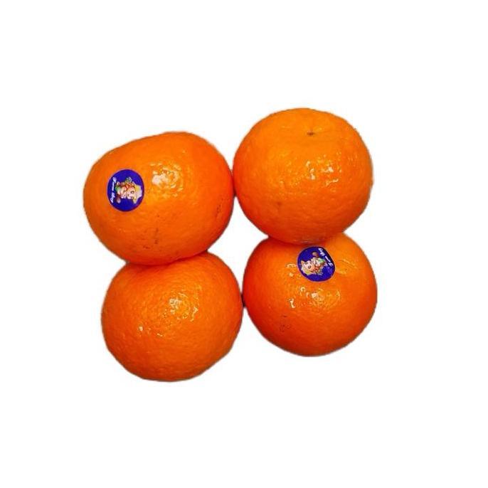 Fruting- Buah Jeruk Wogan/ Jeruk Wokam Mandarin / Jeruk Wokam Rrc