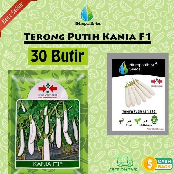 Bibit / Benih Terong Putih (30 Butir) Cap Panah Merah Hidroponik ku
