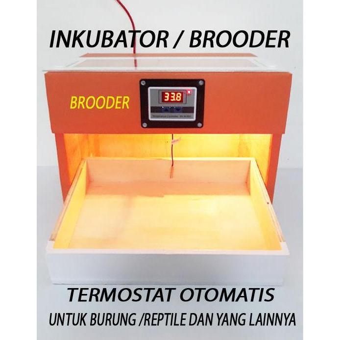 penghangat anakan burung inkubator penghangat anakan burung