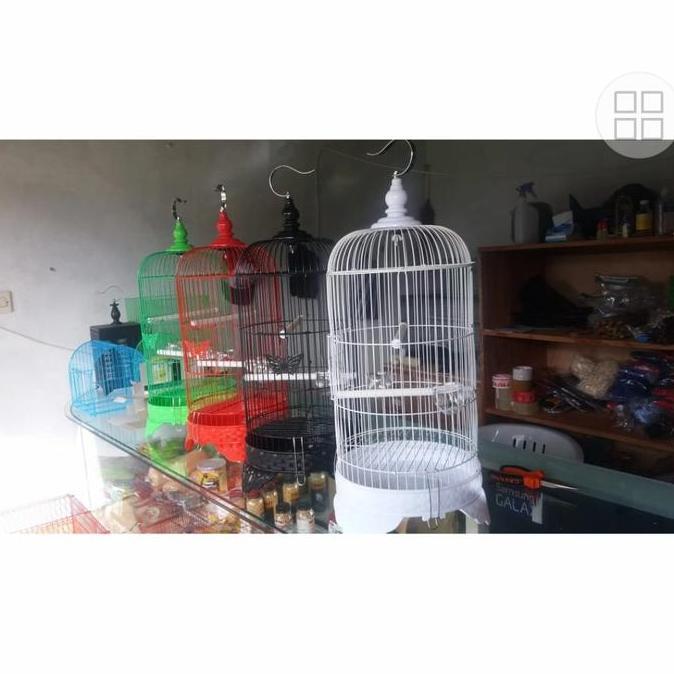 sangkar burung bulat besi (import)